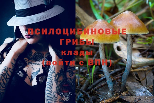 прущие крисы Алзамай